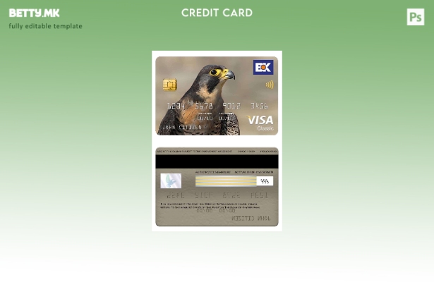 модерен стил Пакистан Шаблон за класична картичка за виза на банката Банката Кај